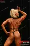 2003 nac nabba universe 0802