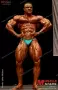 2003 nac nabba universe 0969